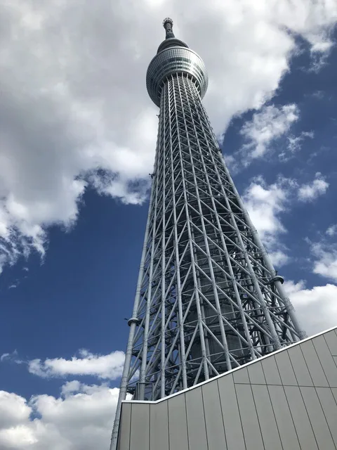 Za prací a poznáváním nové kultury Japonska